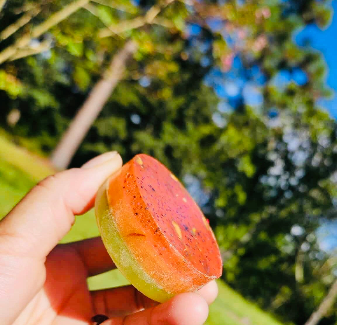 Zodiac Soaps: Leo (Layered)