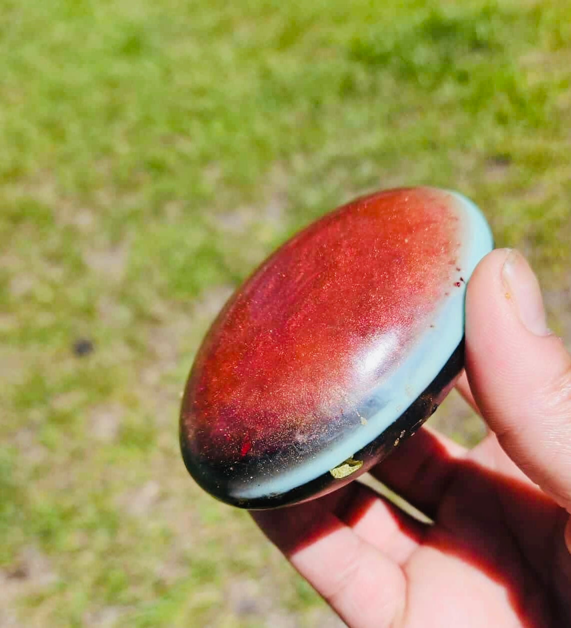 Zodiac Soaps: Capricorn (Layered)