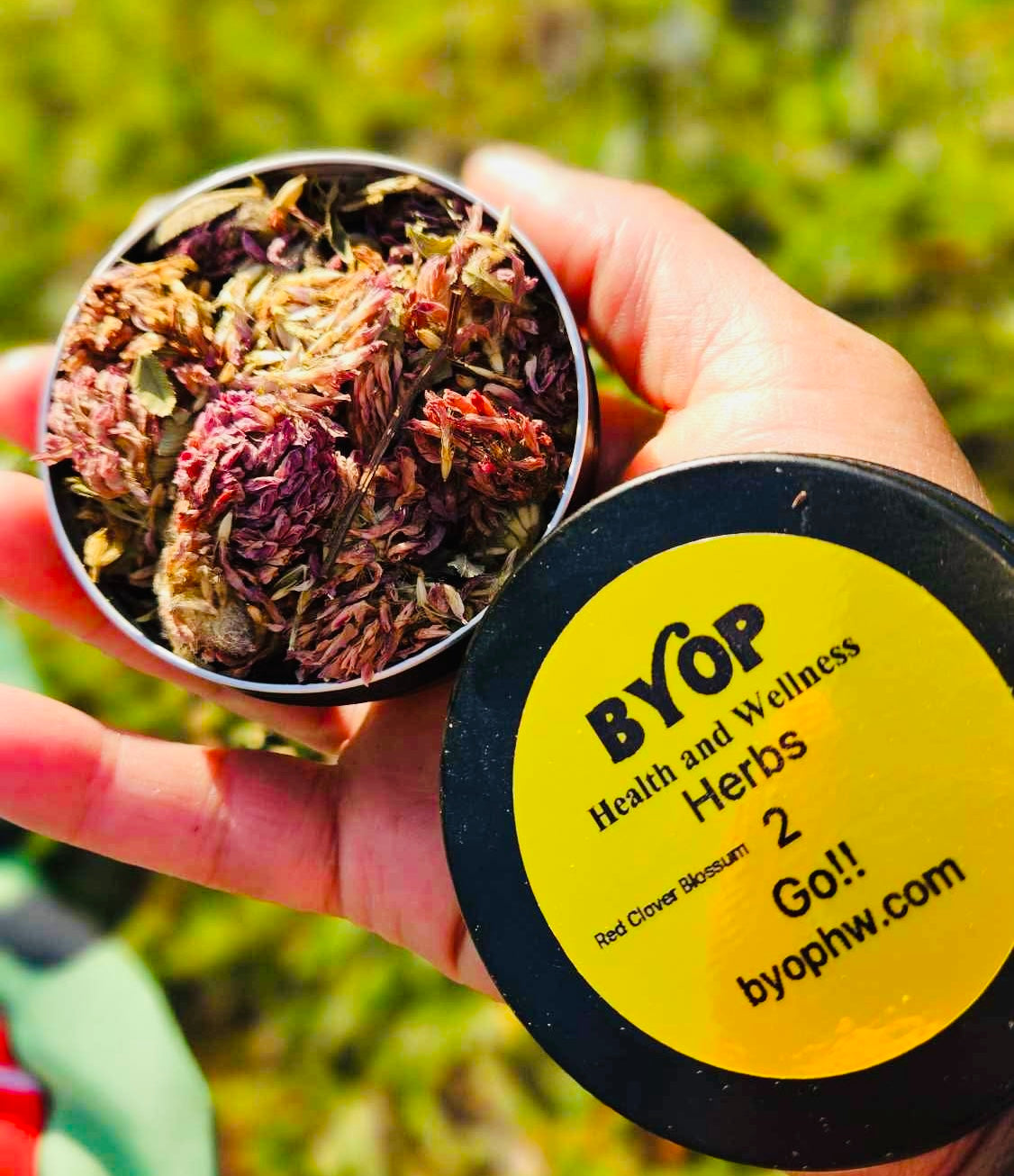 BYOP H&W: Herbs 2 Go!